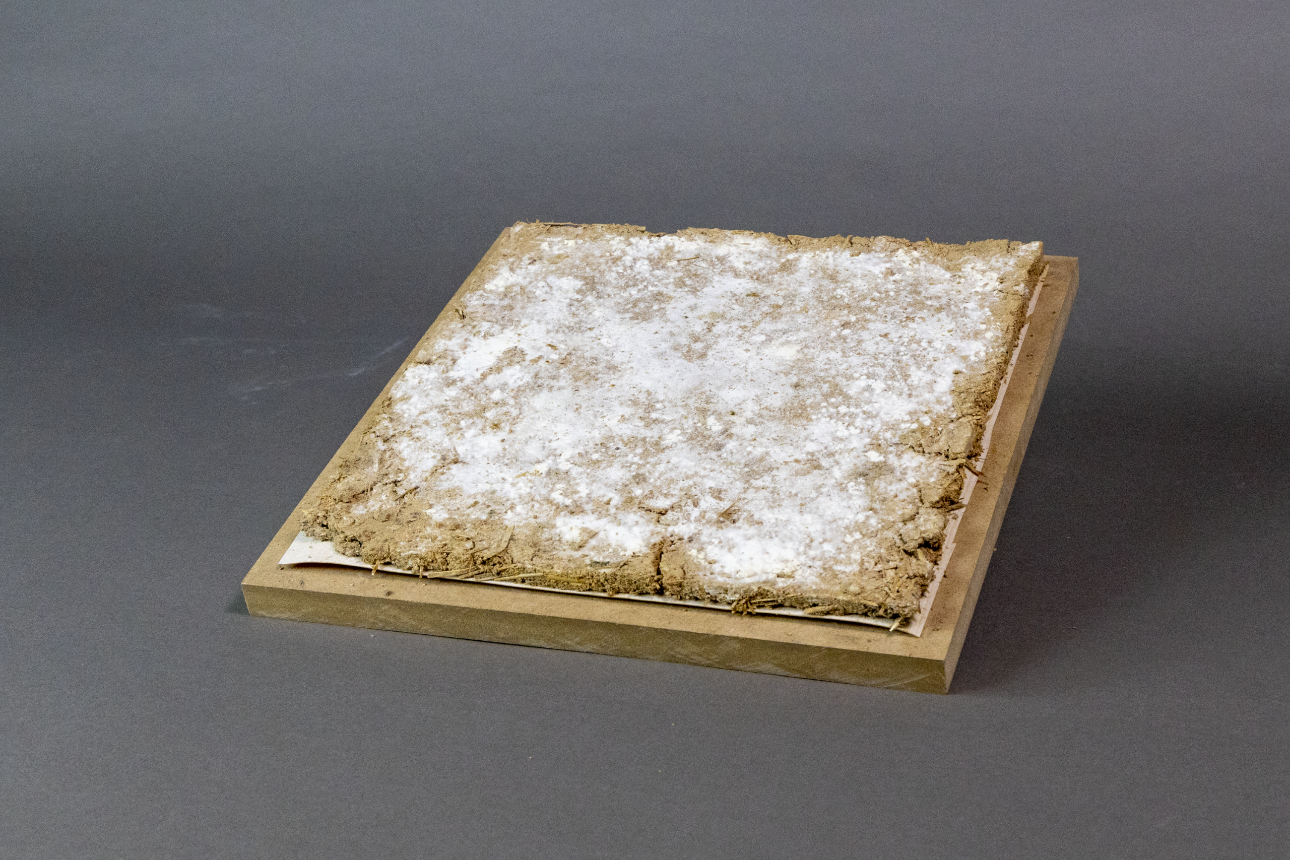 .mycelium tile
