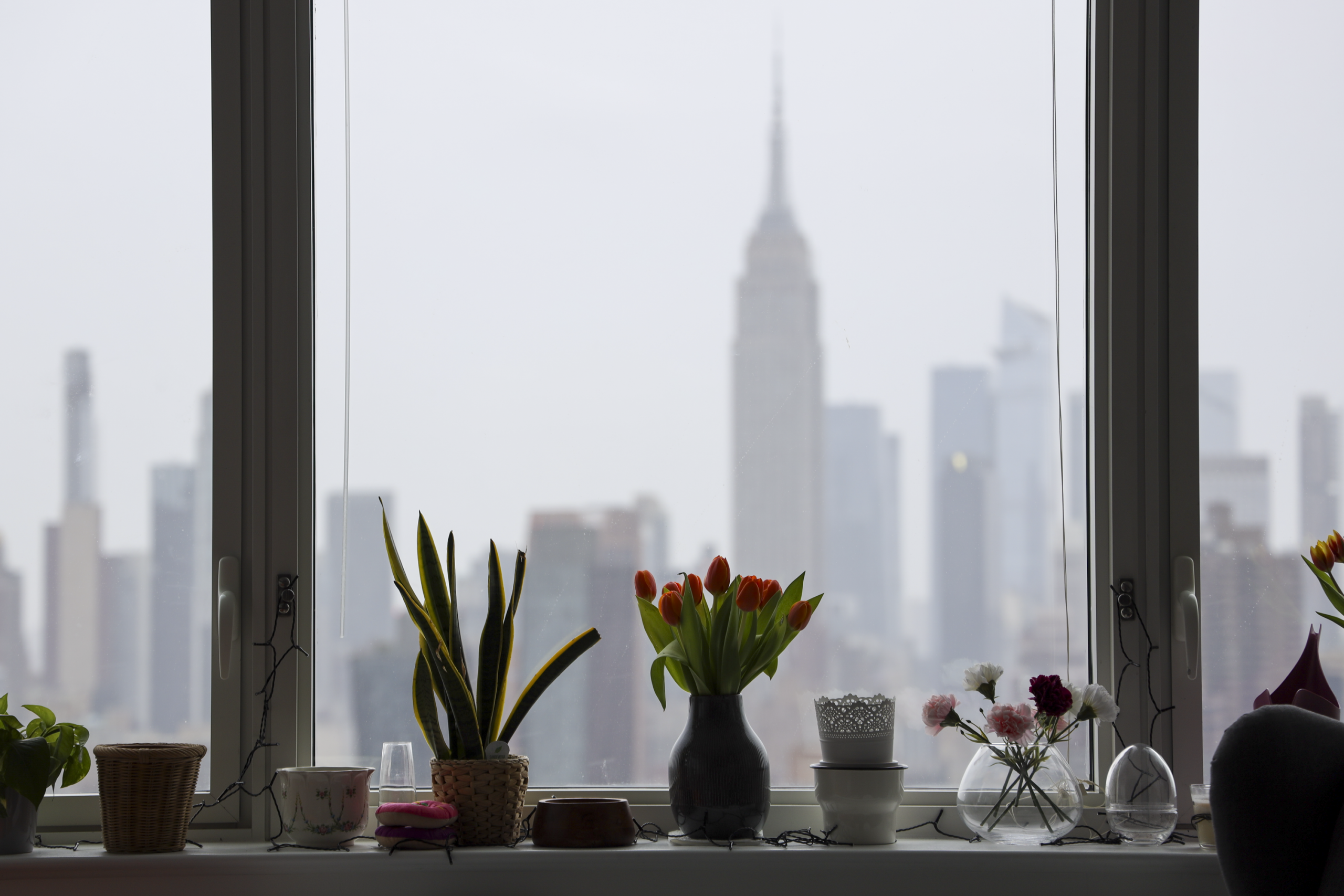 .new york